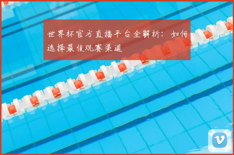 世界杯官方直播平台全解析:如何选择最佳观赛渠道