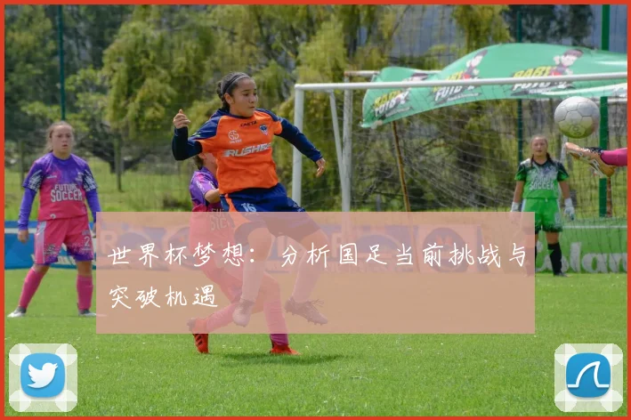 世界杯梦想：分析国足当前挑战与突破机遇