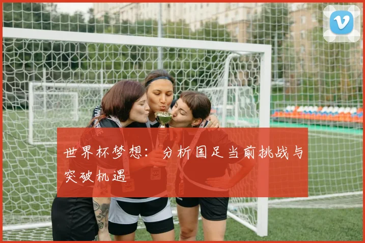 世界杯梦想：分析国足当前挑战与突破机遇