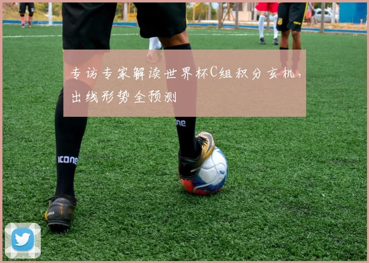 专访专家解读世界杯C组积分玄机,出线形势全预测